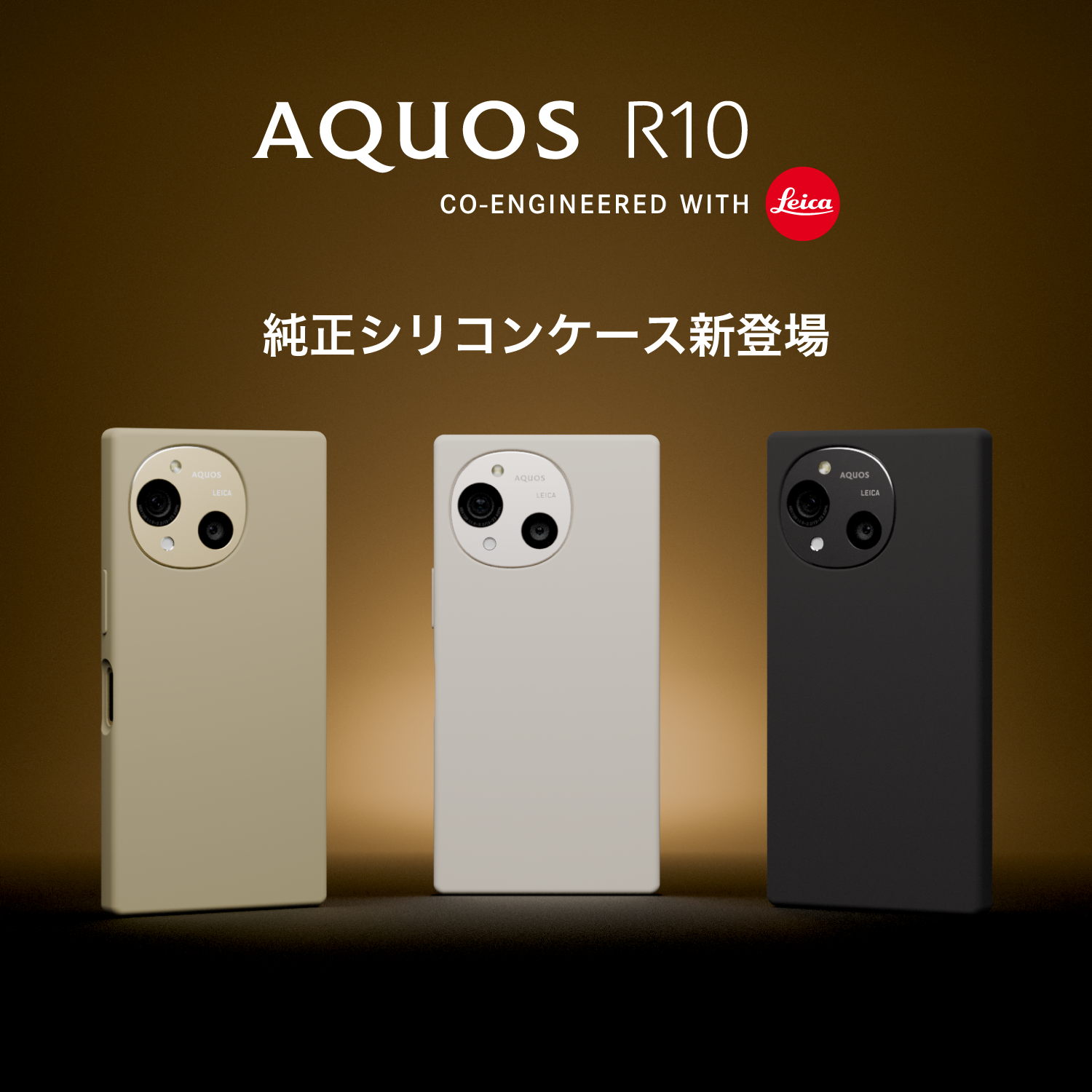R10純正ケース